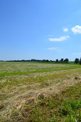 Similar image 672764