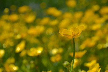 Similar image 672768