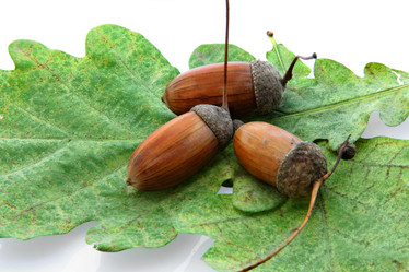 Similar image 672774