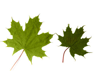 Similar image 672776