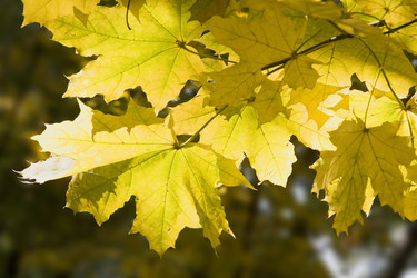 Similar image 672777