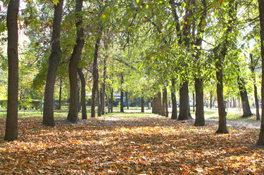 Similar image 672805