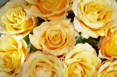 Similar image 672813