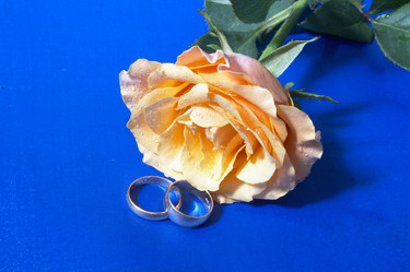 Similar image 672827