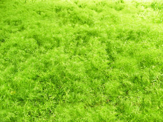 Similar image 672843