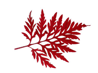 Similar image 672860