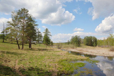 Similar image 672873