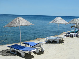 Similar image 672895