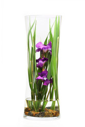 Similar image 672910