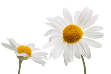 Similar image 672925