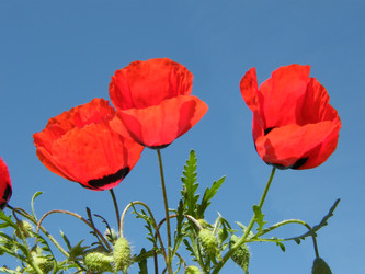 Similar image 672936