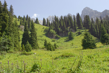 Similar image 672938