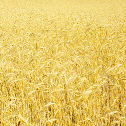 Similar image 672960