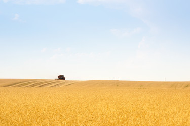 Similar image 672966