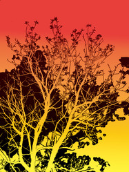 Similar image 672970