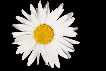 Similar image 672990