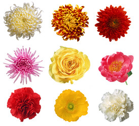 Similar image 672994