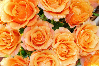 Similar image 672996