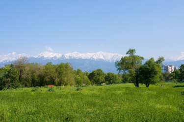 Similar image 673009