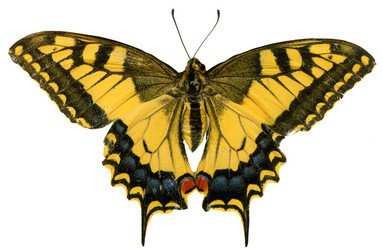 Similar image 673046