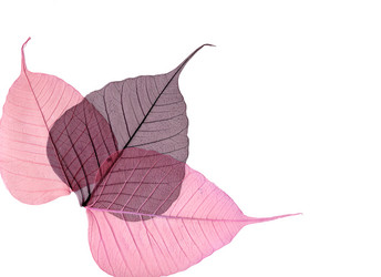 Similar image 673056