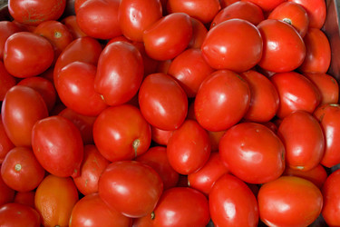 Similar image 673072