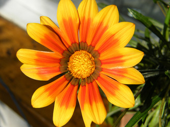 Similar image 673073