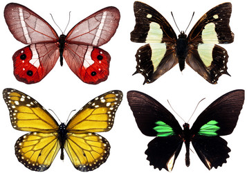 Similar image 673085