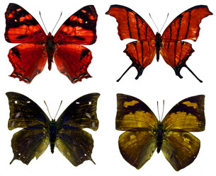 Similar image 673088