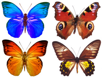 Similar image 673102