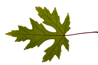 Similar image 673112