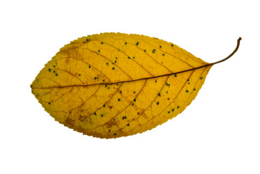 Similar image 673121