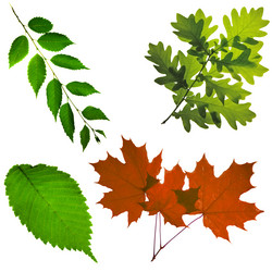 Similar image 673122