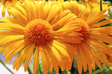 Similar image 673153