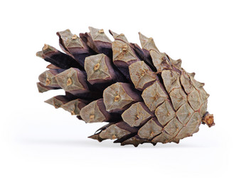 Similar image 673181