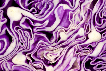 Similar image 673199