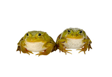 Similar image 673206