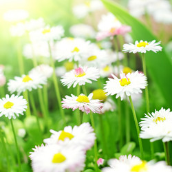 Similar image 673229