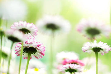 Similar image 673237