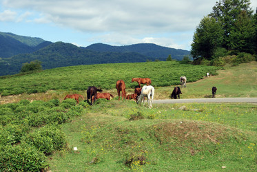 Similar image 673251