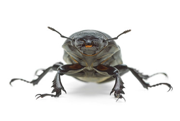 Similar image 673256