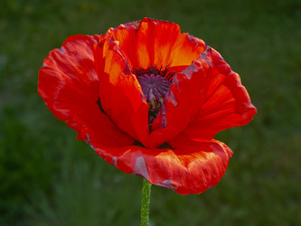 Similar image 673279