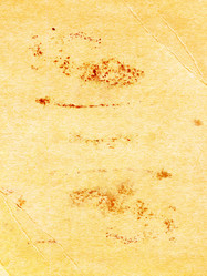 Similar image 673286