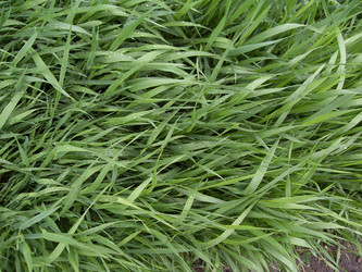 Similar image 673293