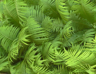 Similar image 673296