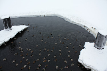 Similar image 673297