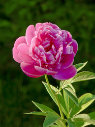 Similar image 673345