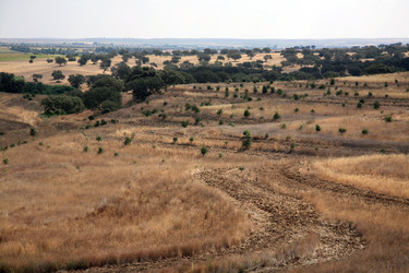 Similar image 673350