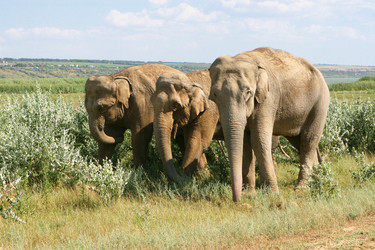 Similar image 673409