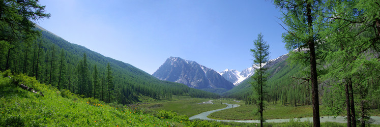 Similar image 673435